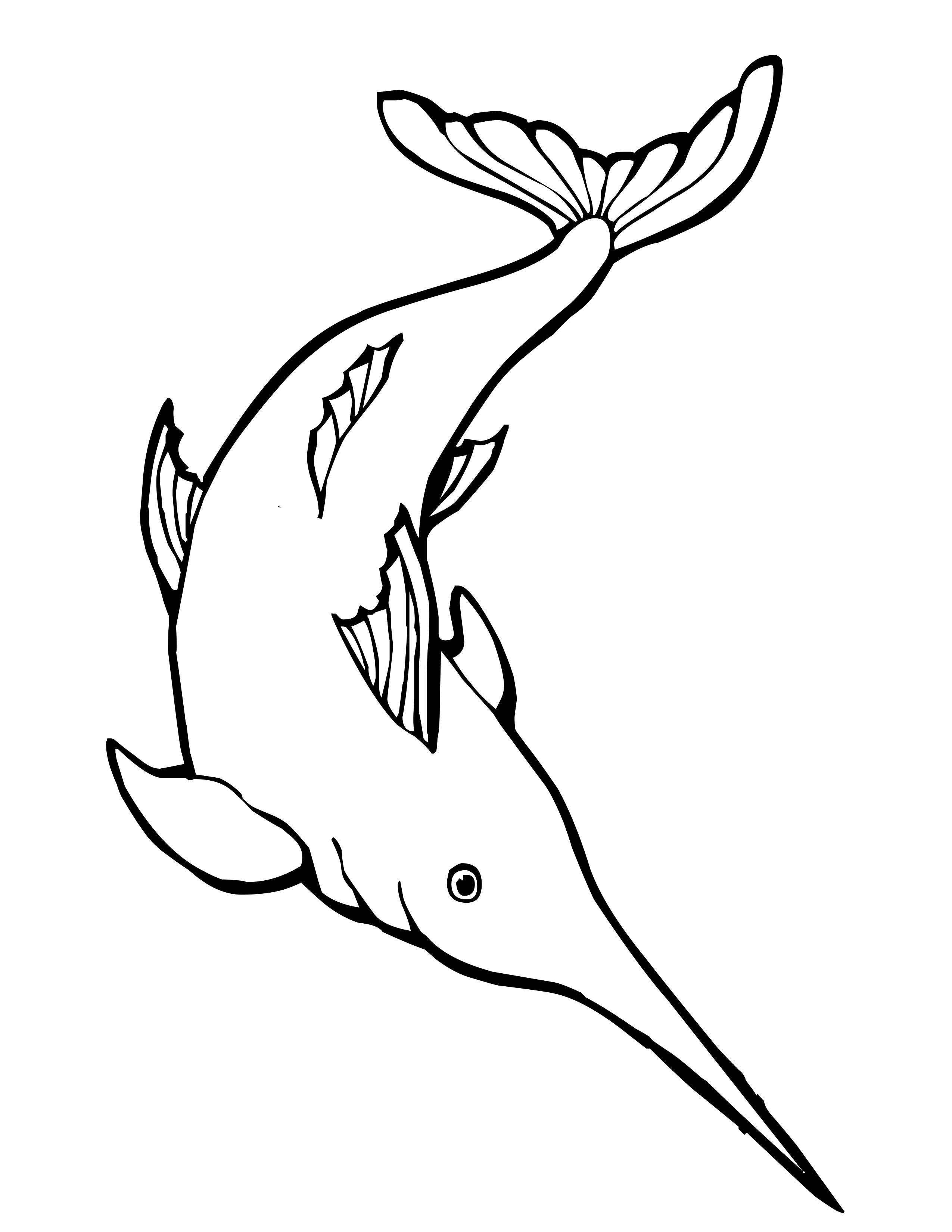 Dibujo para colorear: Animales marinos (Animales) #22124 - Dibujos para Colorear e Imprimir Gratis