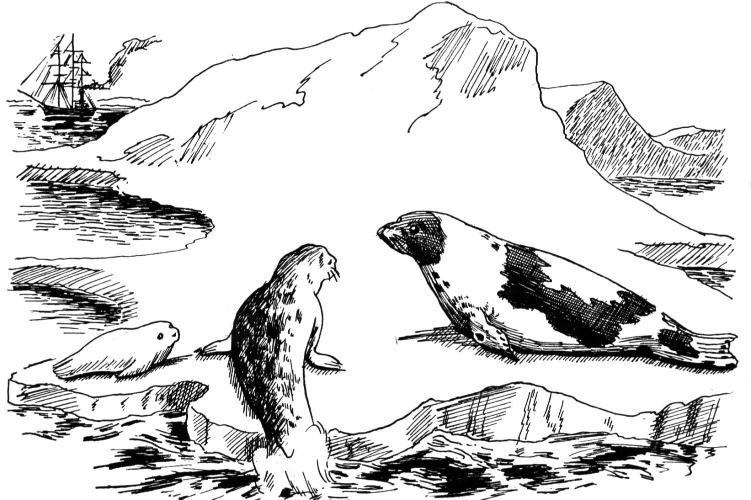 Dibujo para colorear: Animales marinos (Animales) #22142 - Dibujos para Colorear e Imprimir Gratis