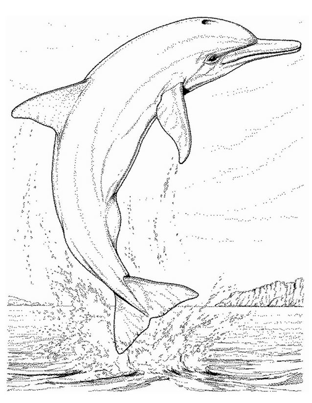 Dibujo para colorear: Animales marinos (Animales) #22143 - Dibujos para Colorear e Imprimir Gratis