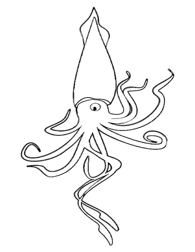 Dibujo para colorear: Animales marinos (Animales) #22152 - Dibujos para Colorear e Imprimir Gratis