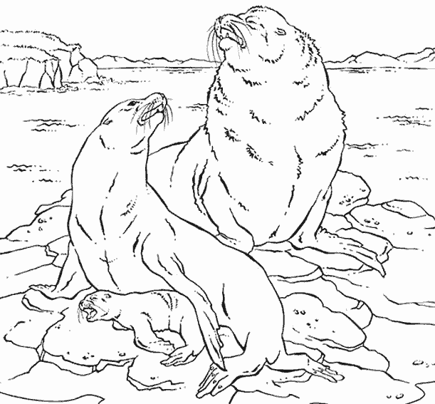 Dibujo para colorear: Animales marinos (Animales) #22176 - Dibujos para colorear