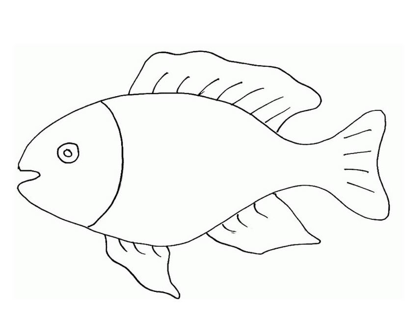 Dibujo para colorear: Animales marinos (Animales) #22216 - Dibujos para colorear