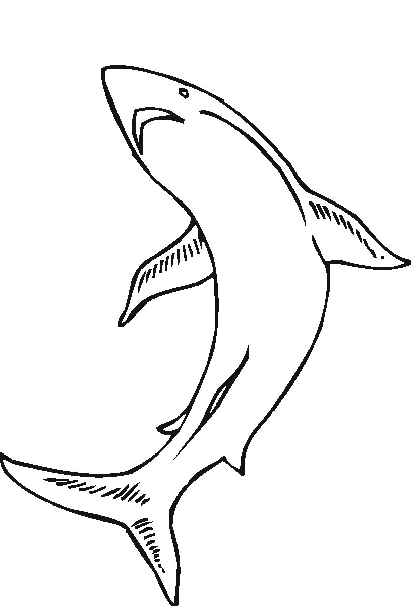 Dibujo para colorear: Animales marinos (Animales) #22255 - Dibujos para colorear