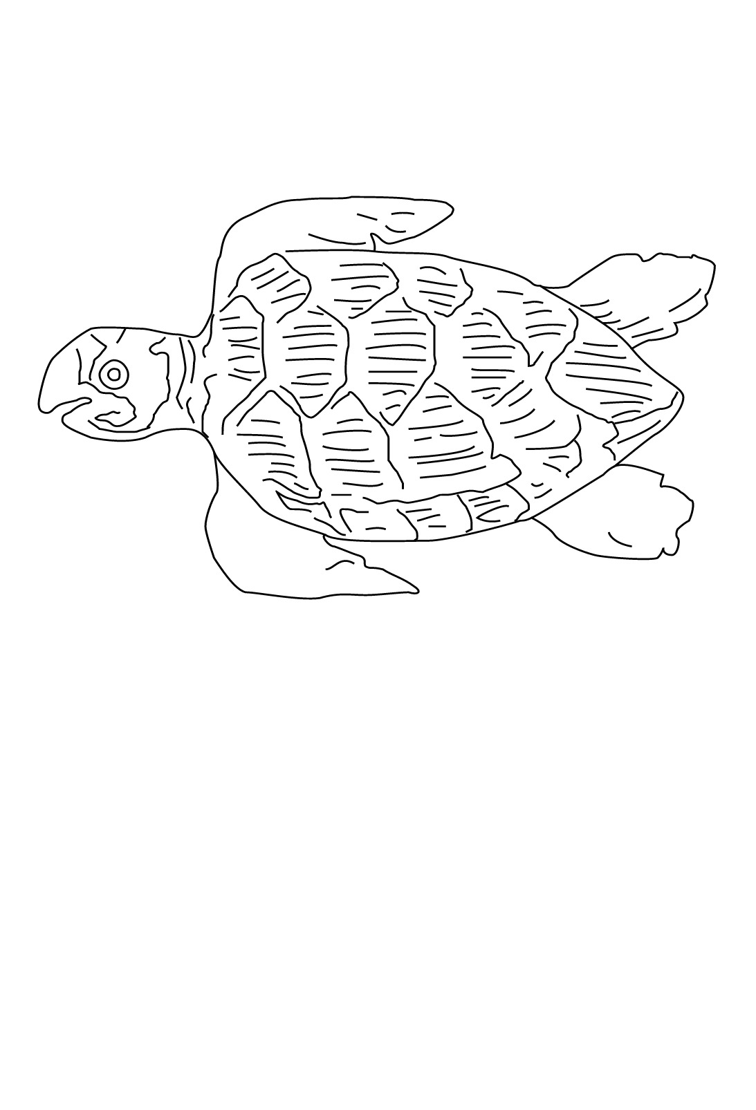 Dibujo para colorear: Animales marinos (Animales) #22263 - Dibujos para Colorear e Imprimir Gratis