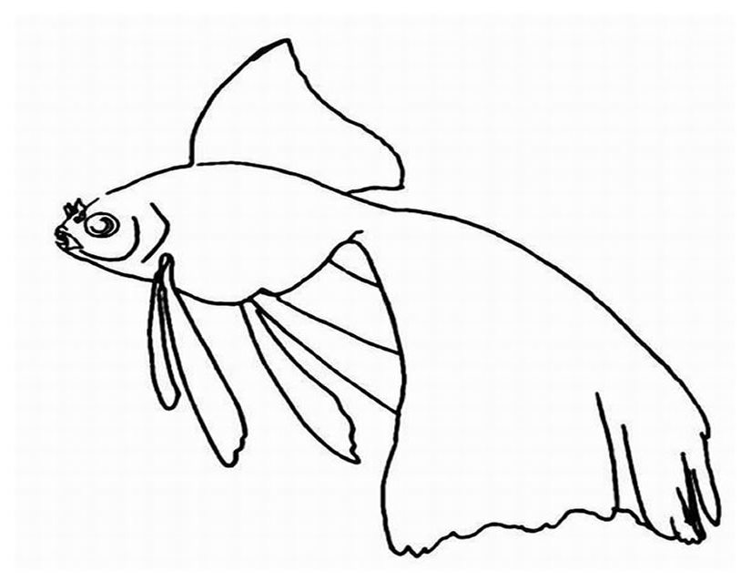 Dibujo para colorear: Animales marinos (Animales) #22264 - Dibujos para colorear