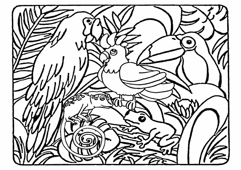 Dibujo para colorear: Animales salvajes / de la selva (Animales) #21082 - Dibujos para colorear
