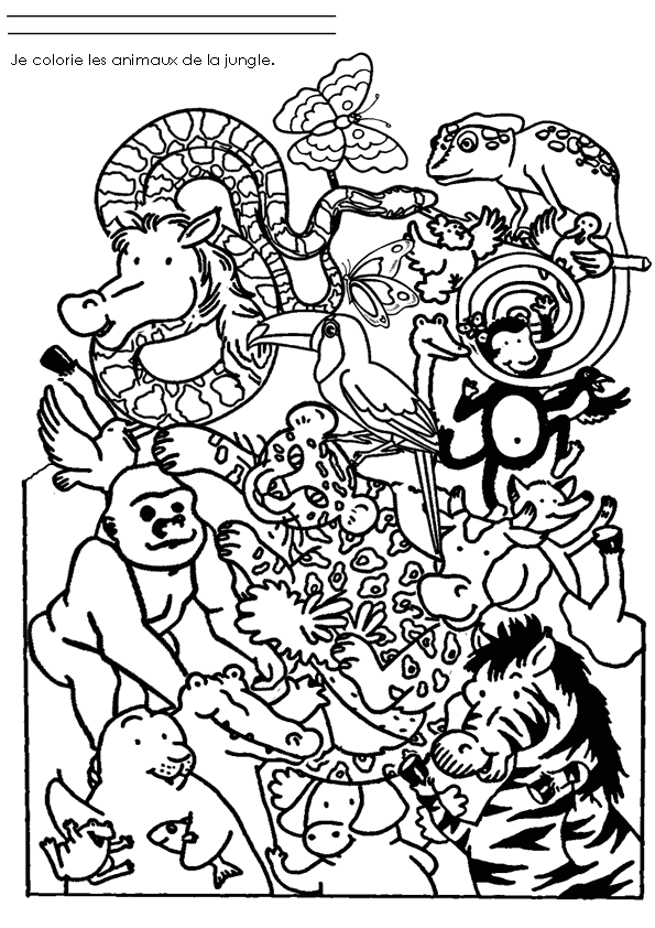 Dibujo para colorear: Animales salvajes / de la selva (Animales) #21091 - Dibujos para colorear