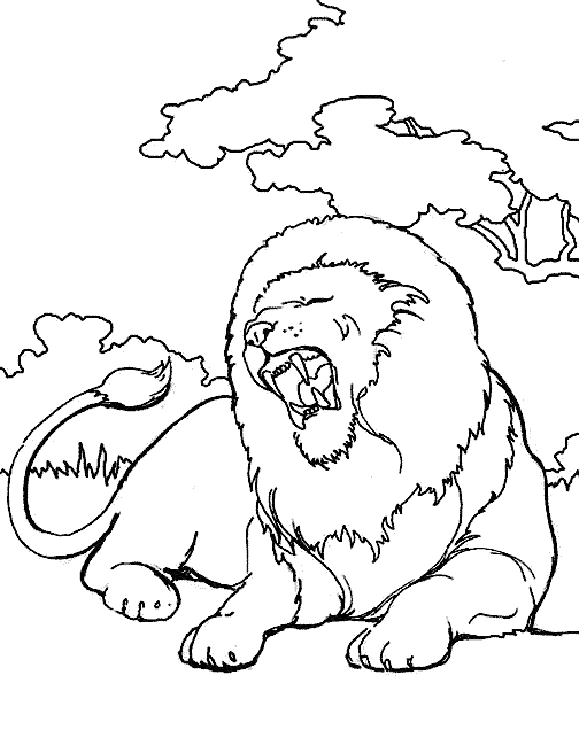 Dibujo para colorear: Animales salvajes / de la selva (Animales) #21098 - Dibujos para Colorear e Imprimir Gratis