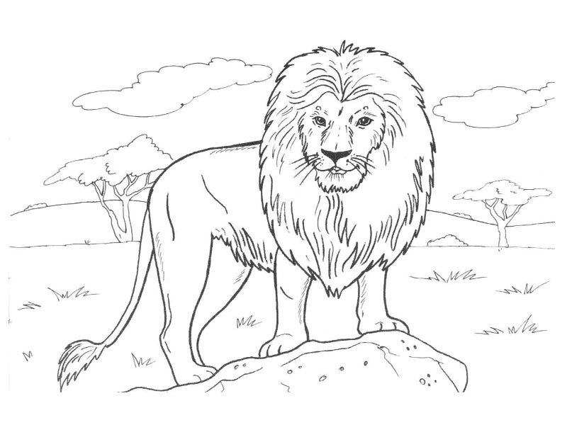 Dibujo para colorear: Animales salvajes / de la selva (Animales) #21107 - Dibujos para colorear