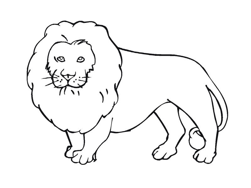 Dibujos de Animales salvajes / de la selva (Animales) para colorear y pintar – Páginas para imprimir