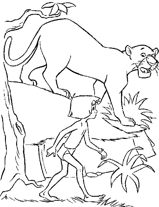 Dibujo para colorear: Animales salvajes / de la selva (Animales) #21116 - Dibujos para colorear