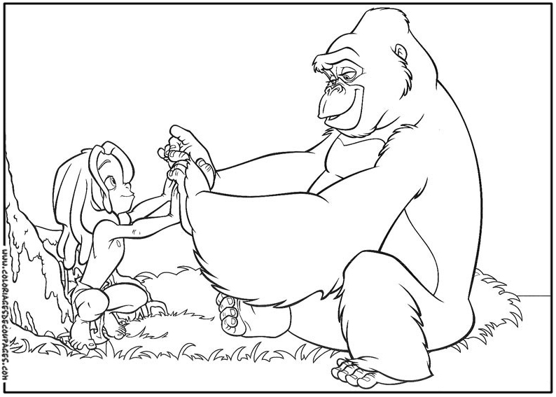 Dibujo para colorear: Animales salvajes / de la selva (Animales) #21118 - Dibujos para colorear