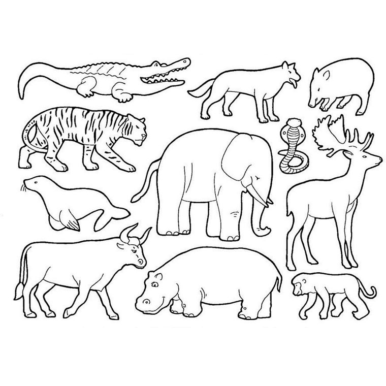 Dibujo para colorear: Animales salvajes / de la selva (Animales) #21120 - Dibujos para colorear