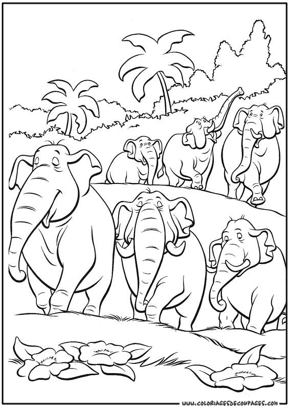 Dibujo para colorear: Animales salvajes / de la selva (Animales) #21123 - Dibujos para colorear