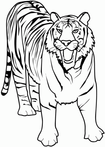 Dibujo para colorear: Animales salvajes / de la selva (Animales) #21130 - Dibujos para colorear