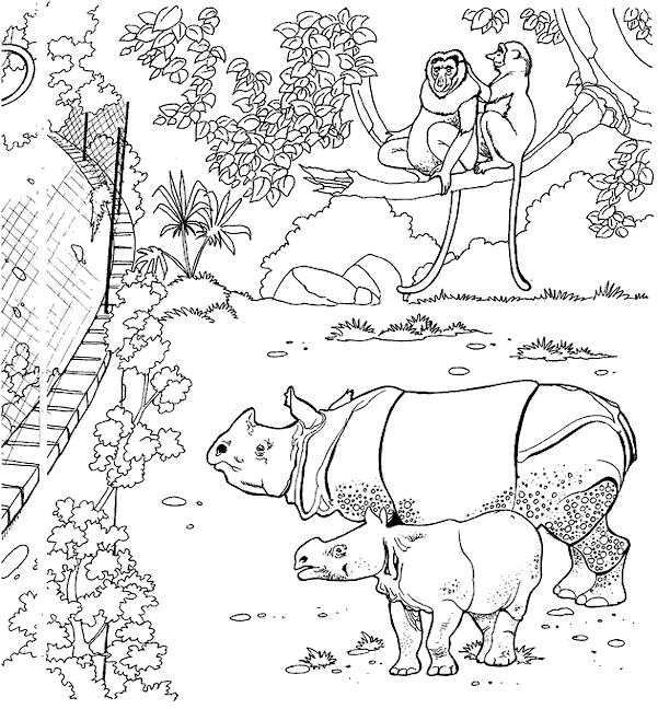 Dibujo para colorear: Animales salvajes / de la selva (Animales) #21136 - Dibujos para Colorear e Imprimir Gratis