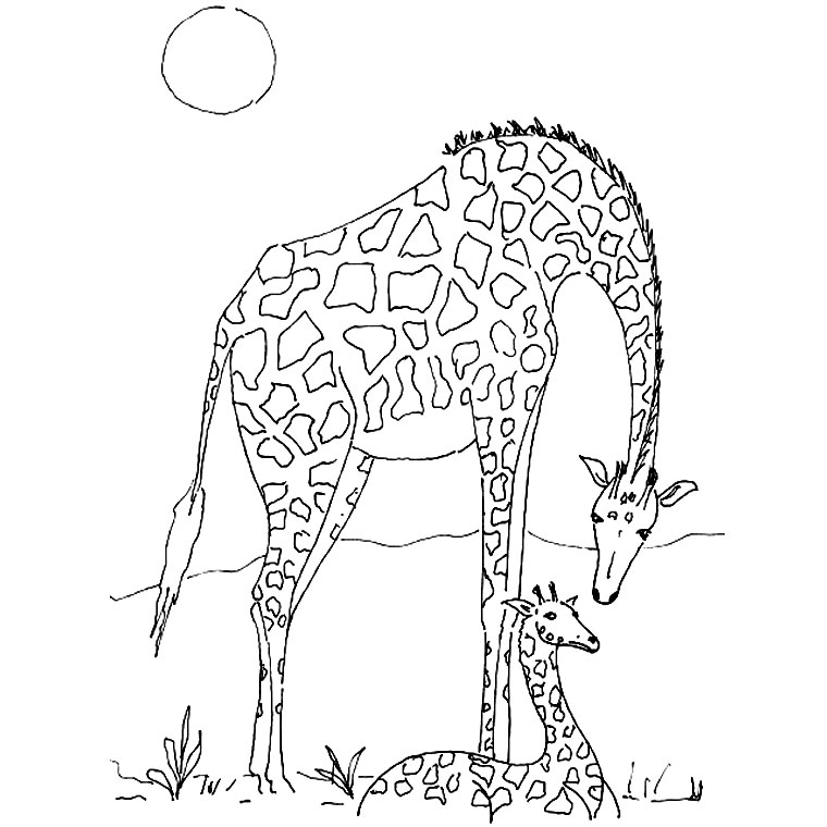 Dibujo para colorear: Animales salvajes / de la selva (Animales) #21138 - Dibujos para colorear