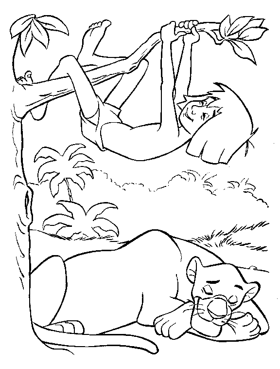 Dibujo para colorear: Animales salvajes / de la selva (Animales) #21163 - Dibujos para Colorear e Imprimir Gratis