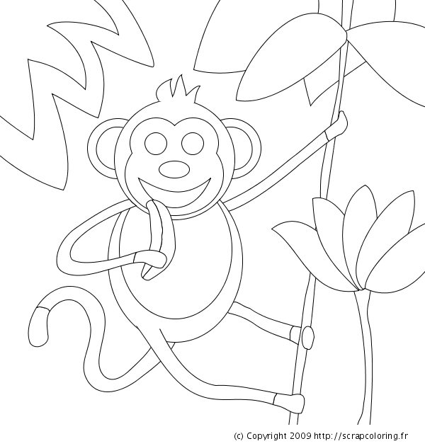 Dibujo para colorear: Animales salvajes / de la selva (Animales) #21230 - Dibujos para Colorear e Imprimir Gratis