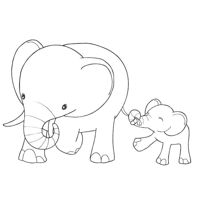 Dibujo para colorear: Animales salvajes / de la selva (Animales) #21262 - Dibujos para colorear
