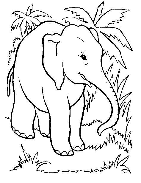 Dibujo para colorear: Animales salvajes / de la selva (Animales) #21263 - Dibujos para Colorear e Imprimir Gratis