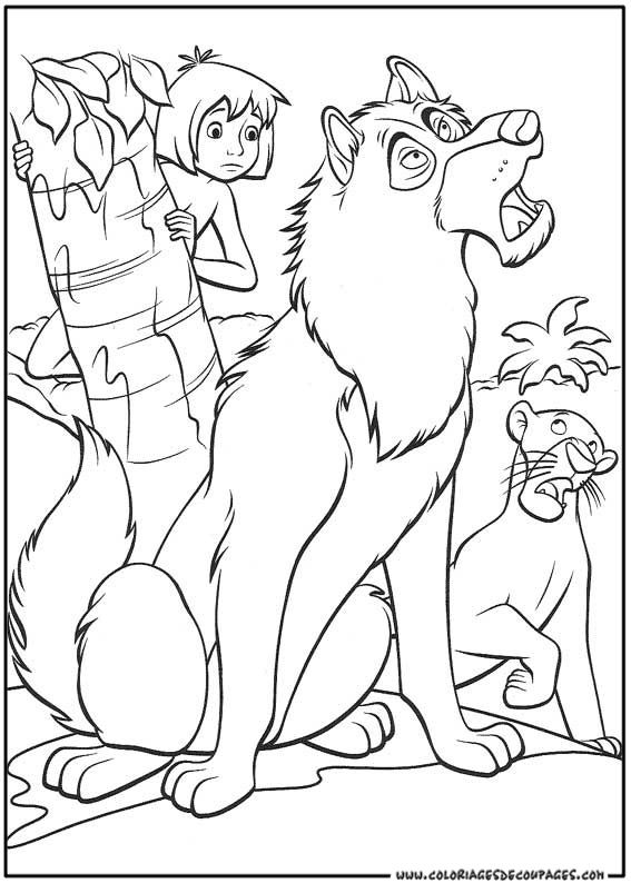 Dibujo para colorear: Animales salvajes / de la selva (Animales) #21265 - Dibujos para colorear