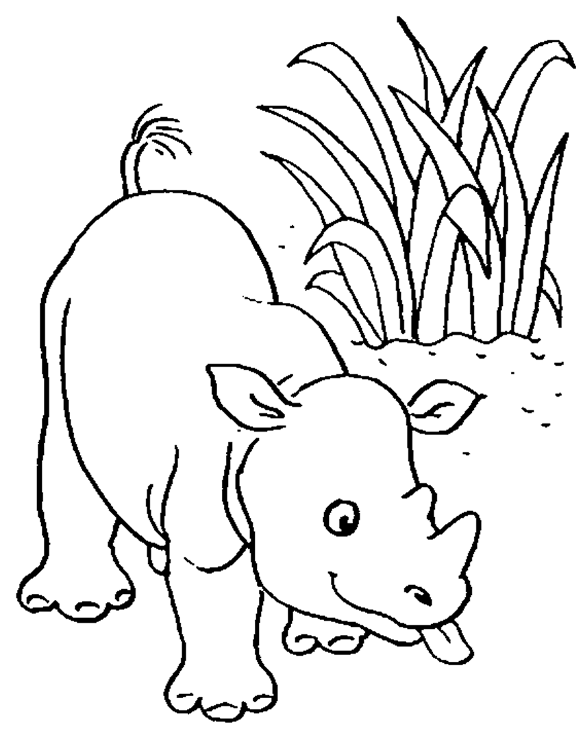 Dibujo para colorear: Animales salvajes / de la selva (Animales) #21270 - Dibujos para Colorear e Imprimir Gratis