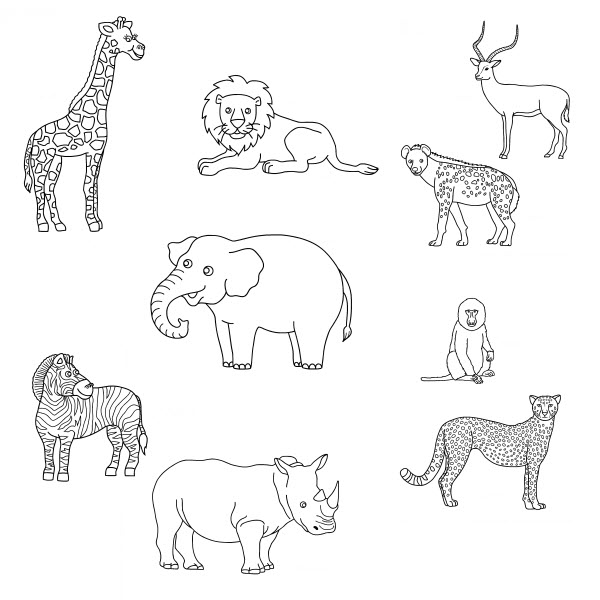 Dibujo para colorear: Animales salvajes / de la selva (Animales) #21287 - Dibujos para colorear