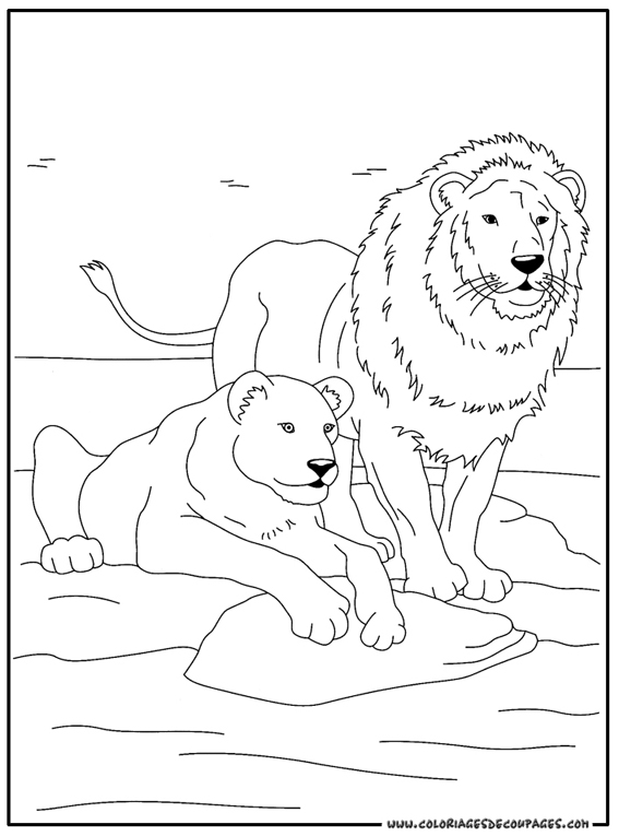 Dibujo para colorear: Animales salvajes / de la selva (Animales) #21291 - Dibujos para colorear