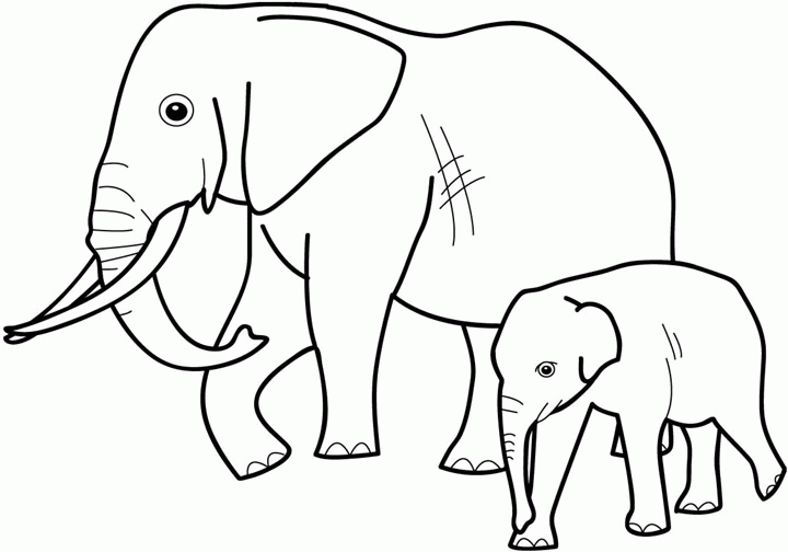 Dibujo para colorear: Animales salvajes / de la selva (Animales) #21337 - Dibujos para colorear