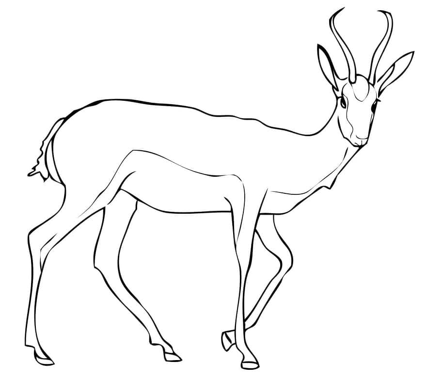 Dibujo gratuito Antílope #210746 de la coleccion Animales para imprimir