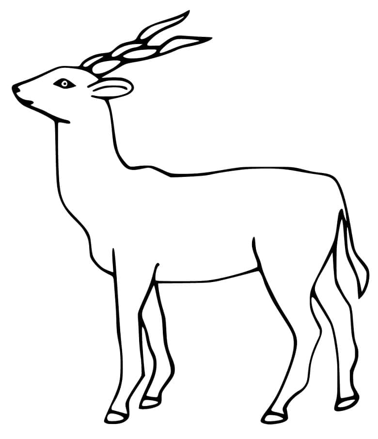 Dibujo gratuito Antílope #210751 de la coleccion Animales para imprimir