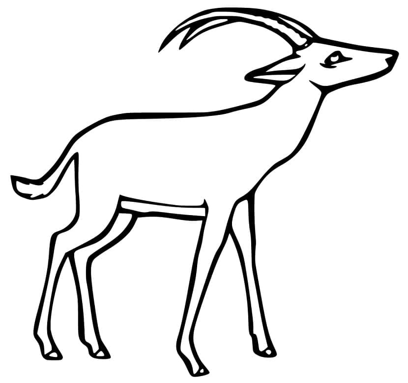 Dibujo gratuito Antílope #210765 de la coleccion Animales para imprimir