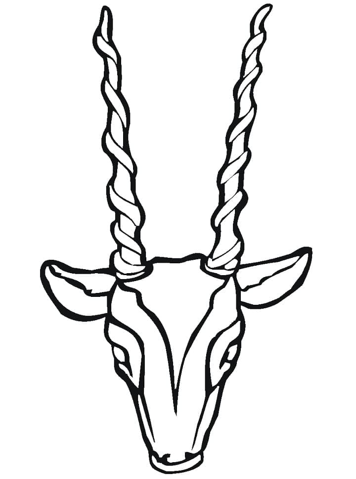 Dibujo gratuito Antílope #210766 de la coleccion Animales para imprimir