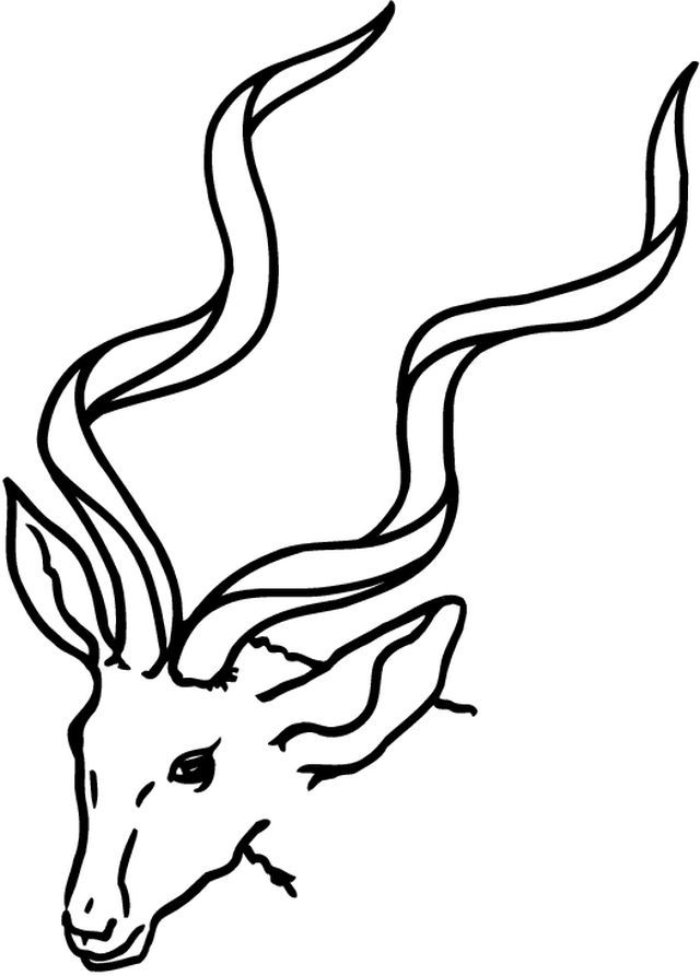 Dibujo para colorear: Antílope (Animales) #22590 - Dibujos para Colorear e Imprimir Gratis