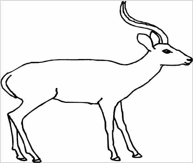 Dibujo para colorear: Antílope (Animales) #22591 - Dibujos para Colorear e Imprimir Gratis