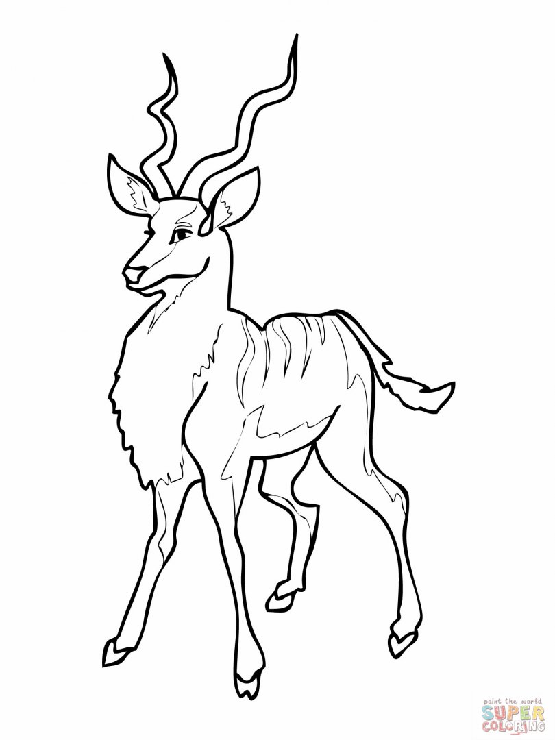 Dibujo para colorear: Antílope (Animales) #22598 - Dibujos para Colorear e Imprimir Gratis