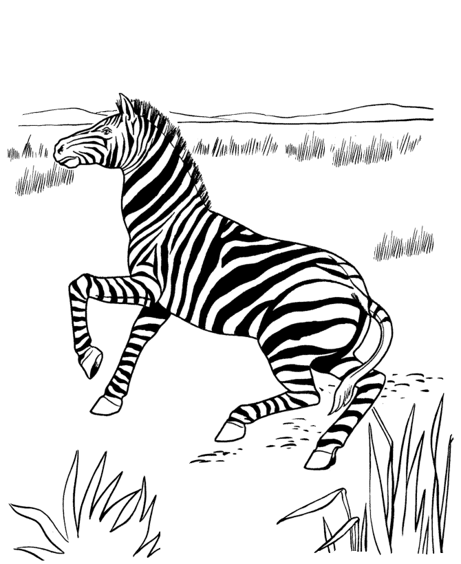 Dibujo para colorear: Antílope (Animales) #22652 - Dibujos para colorear