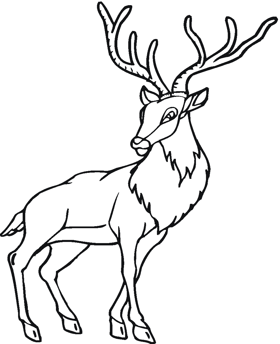 Dibujo para colorear: Antílope (Animales) #22659 - Dibujos para colorear