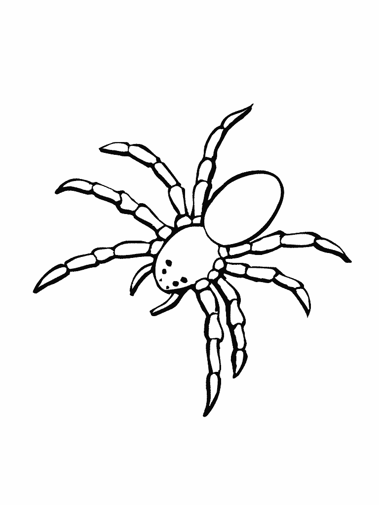 Dibujo para colorear: Araña (Animales) #583 - Dibujos para colorear