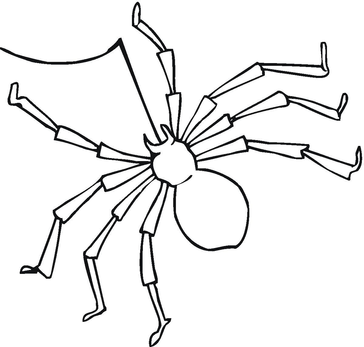 Dibujo para colorear: Araña (Animales) #597 - Dibujos para colorear