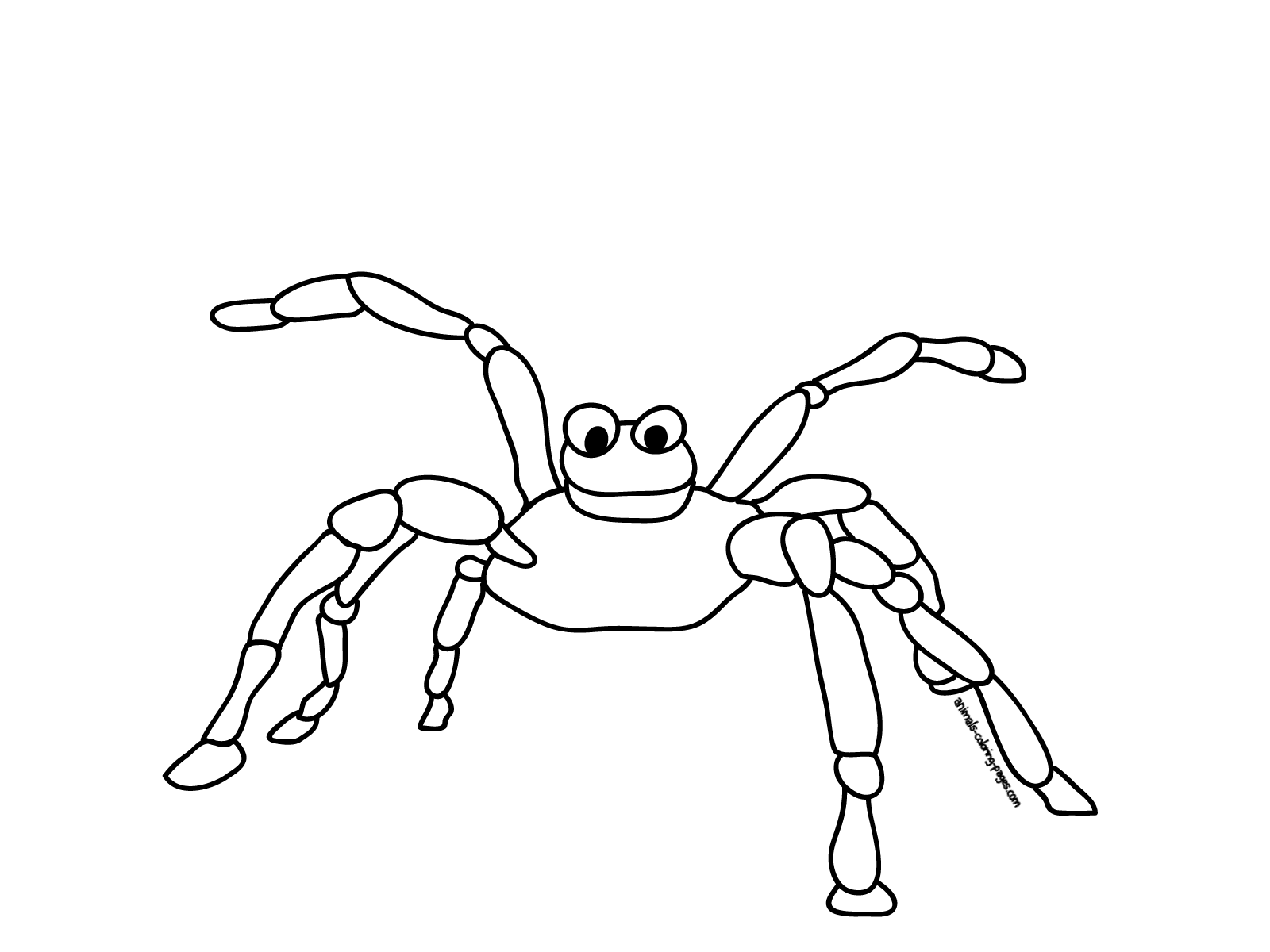 Dibujo para colorear: Araña (Animales) #611 - Dibujos para colorear