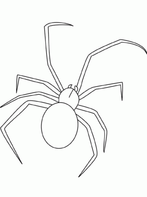 Dibujo para colorear: Araña (Animales) #613 - Dibujos para colorear