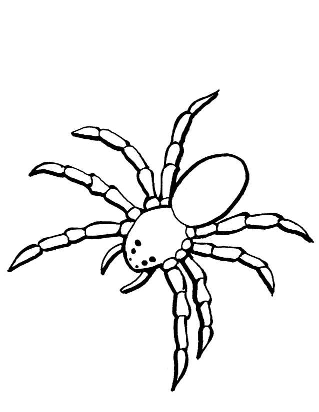 Dibujo para colorear: Araña (Animales) #621 - Dibujos para Colorear e Imprimir Gratis