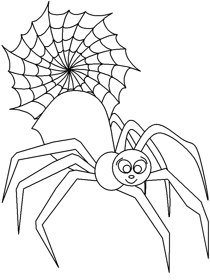 Dibujo para colorear: Araña (Animales) #630 - Dibujos para colorear