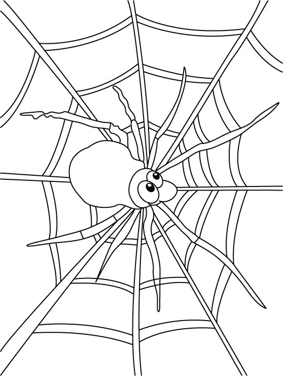 Dibujo para colorear: Araña (Animales) #648 - Dibujos para colorear