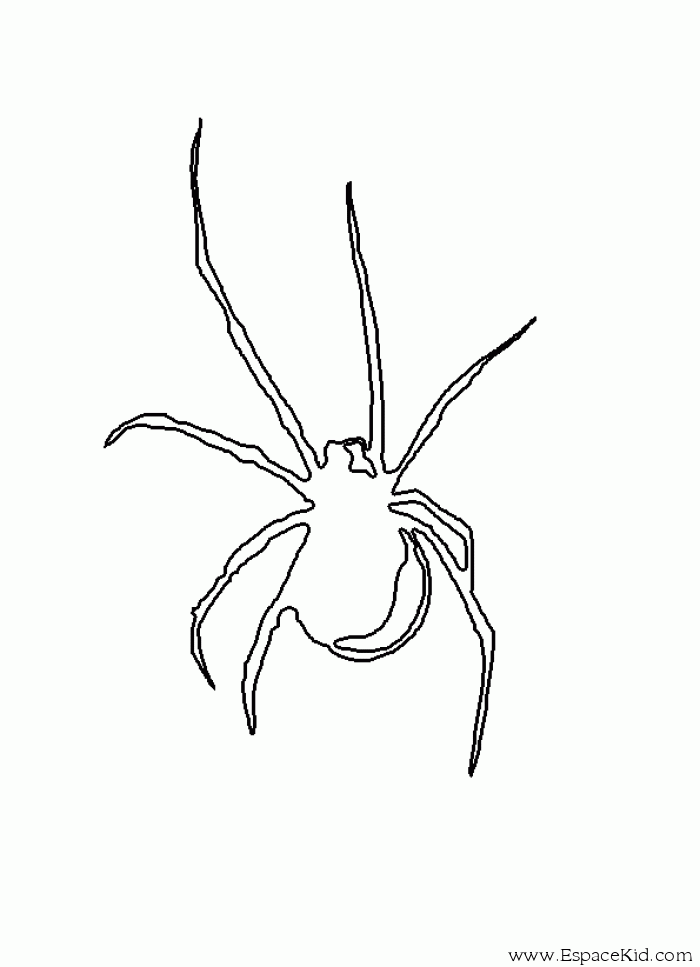 Dibujo para colorear: Araña (Animales) #649 - Dibujos para Colorear e Imprimir Gratis