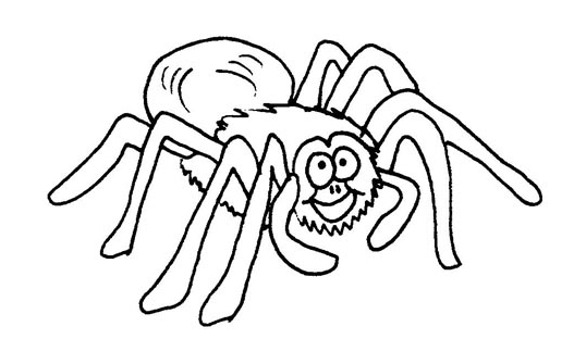 Dibujo para colorear: Araña (Animales) #656 - Dibujos para Colorear e Imprimir Gratis