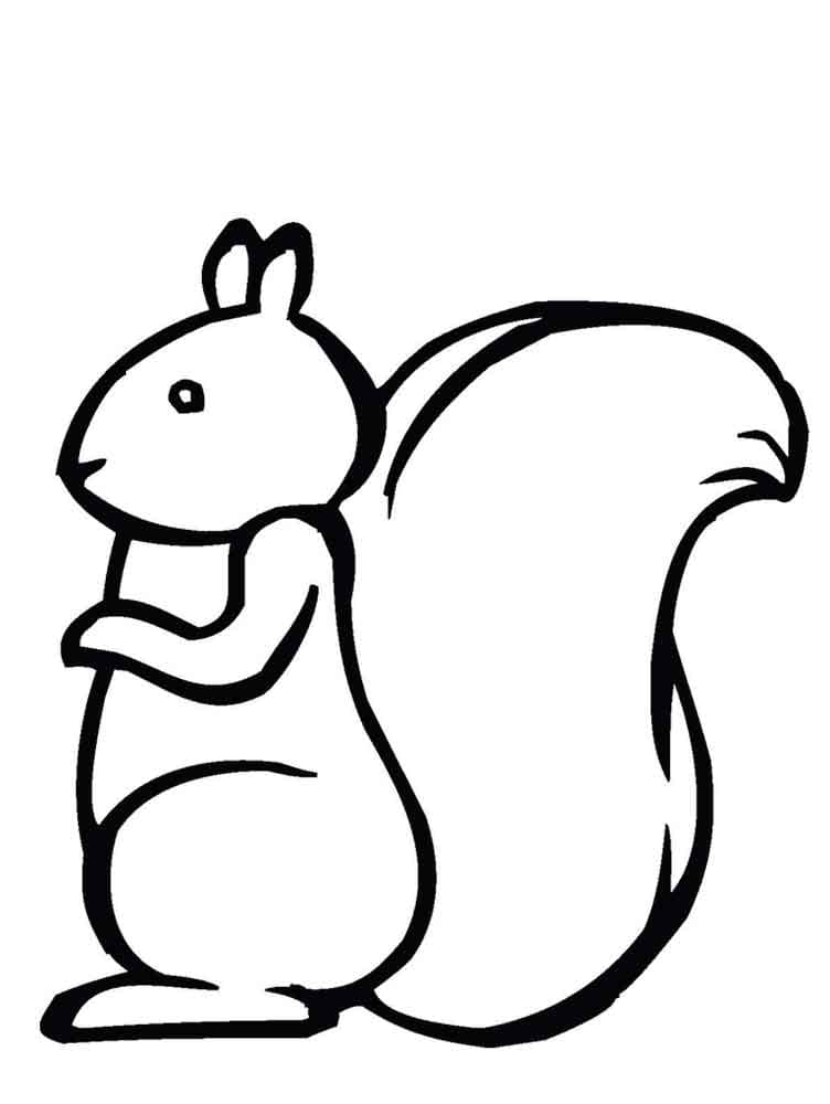 Dibujo gratuito Ardilla #177466 de la coleccion Animales para imprimir