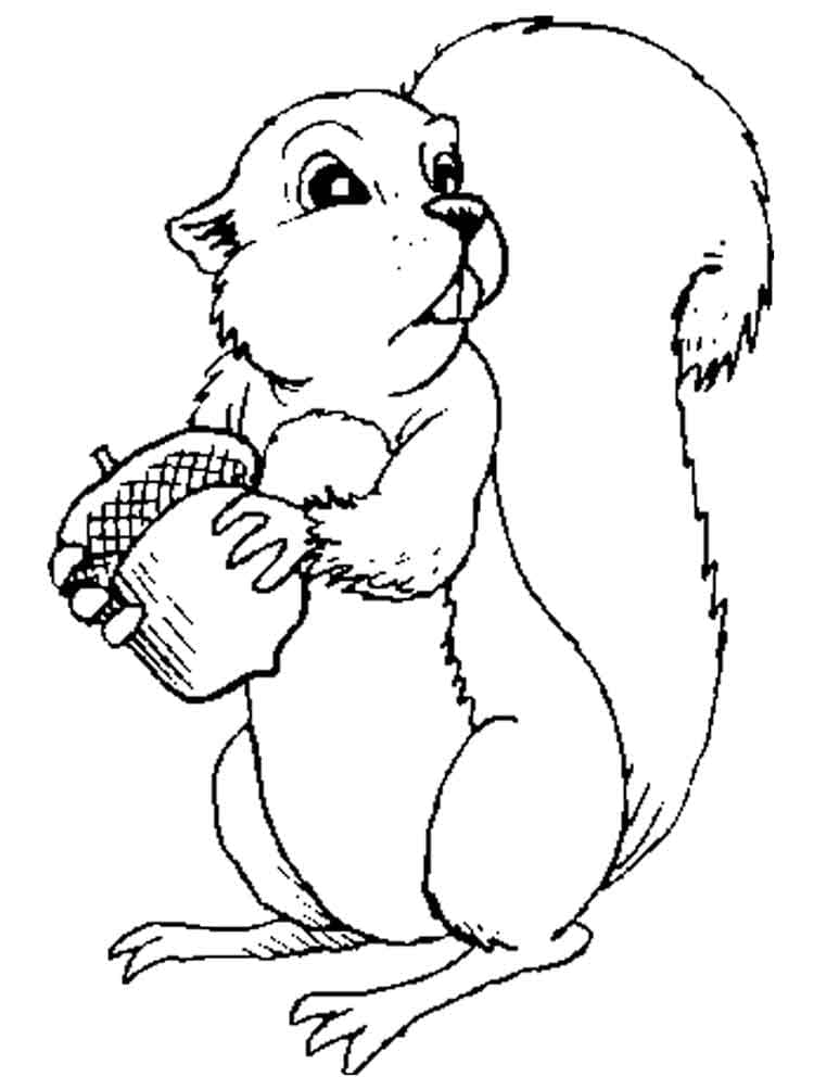 Dibujo gratuito Ardilla #177468 de la coleccion Animales para imprimir